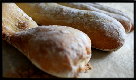 Ciabatta
